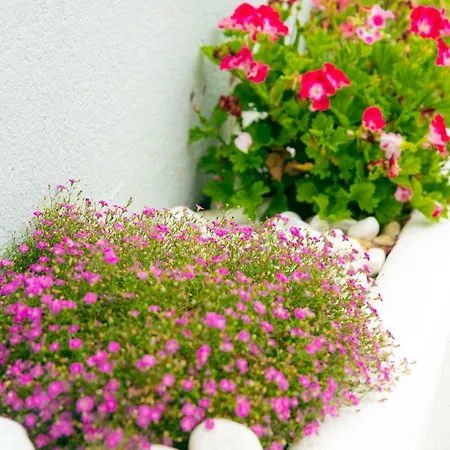 Casa Bom Dia 27 Sintra