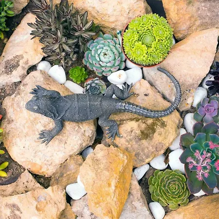 Prázdninový dům Casa Bom Dia 27 *