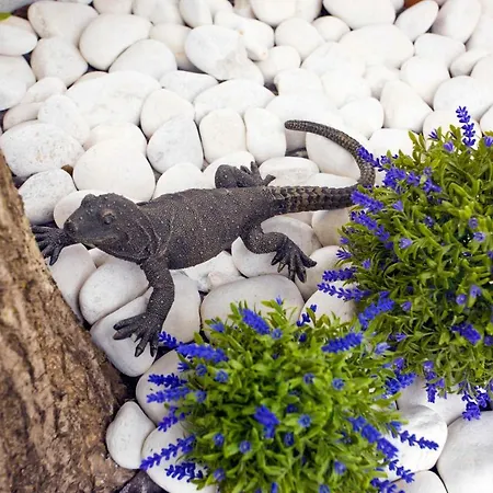 Casa Bom Dia 27 Sintra