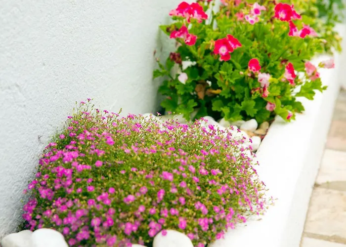 Casa Bom Dia 27 Sintra