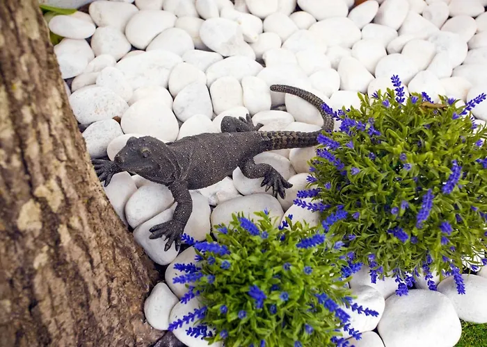 Casa Bom Dia 27 Sintra